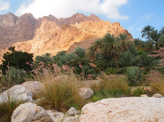 The lower part of Wadi Tiwi