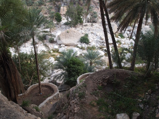 the path to the bottom of the wadi