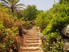 following the endless steps to the top of Wekan's gardens in Oman