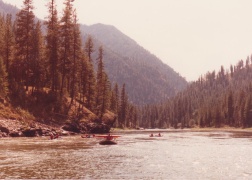 rafting down the Salmon River